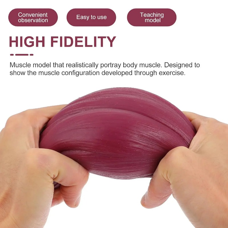 1-pound Human Muscle and Fat R - The Nutrition Fitness recension och pris